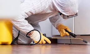 Best Pest Exclusion Services  in Red Chute, LA